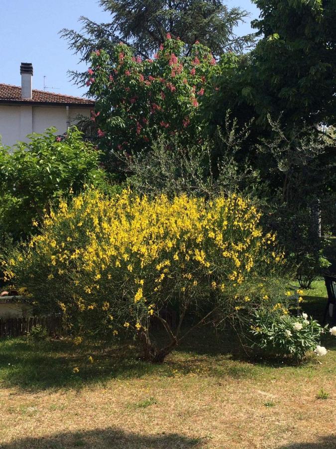 B&B Marilyn Ravenna Dış mekan fotoğraf