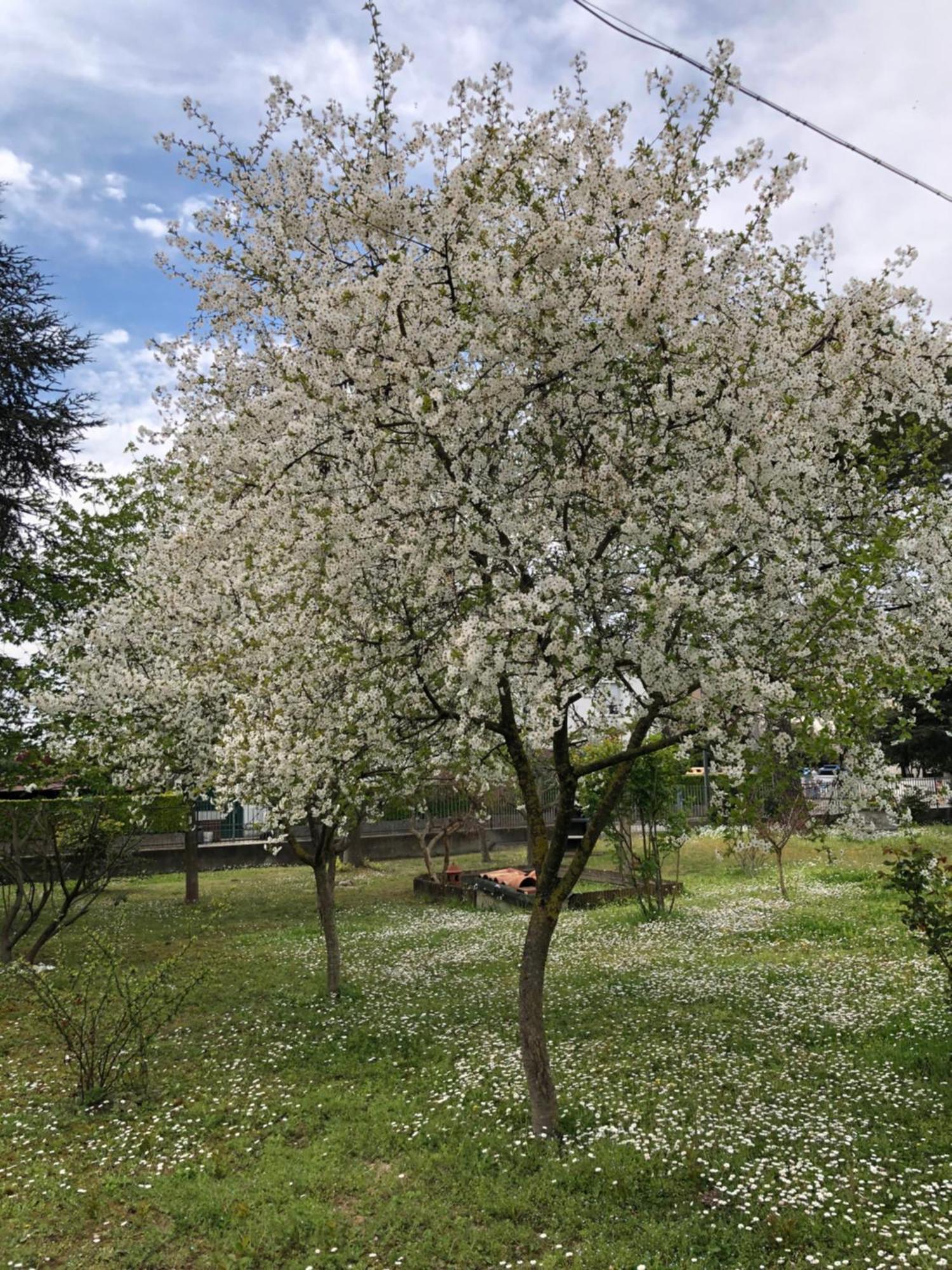 B&B Marilyn Ravenna Dış mekan fotoğraf